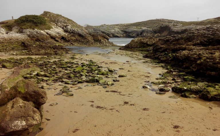 Playa del Arenal para ir con Perros en Cantabria