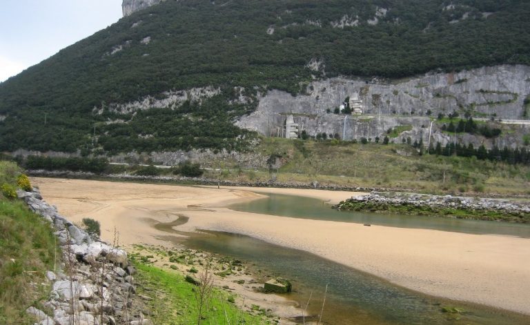 Playa Muelle de Oriñón para ir con perros en Cantabria