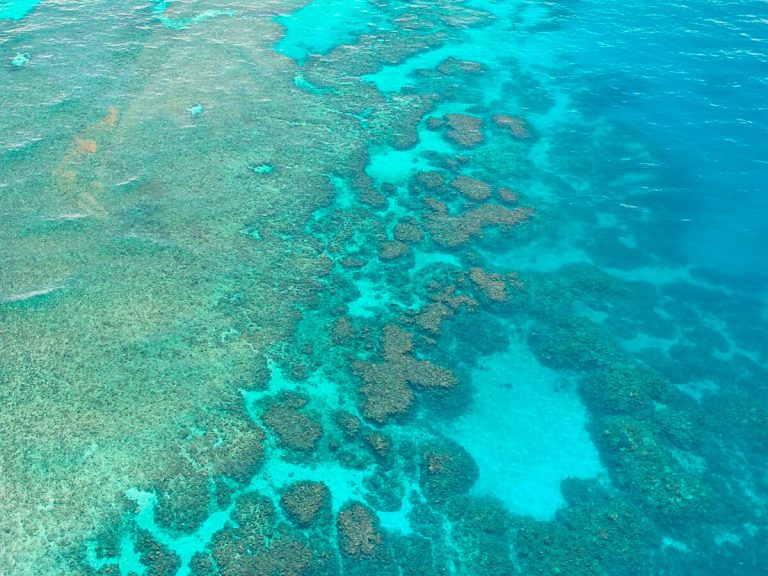 Gran Barrera Coral de Australia