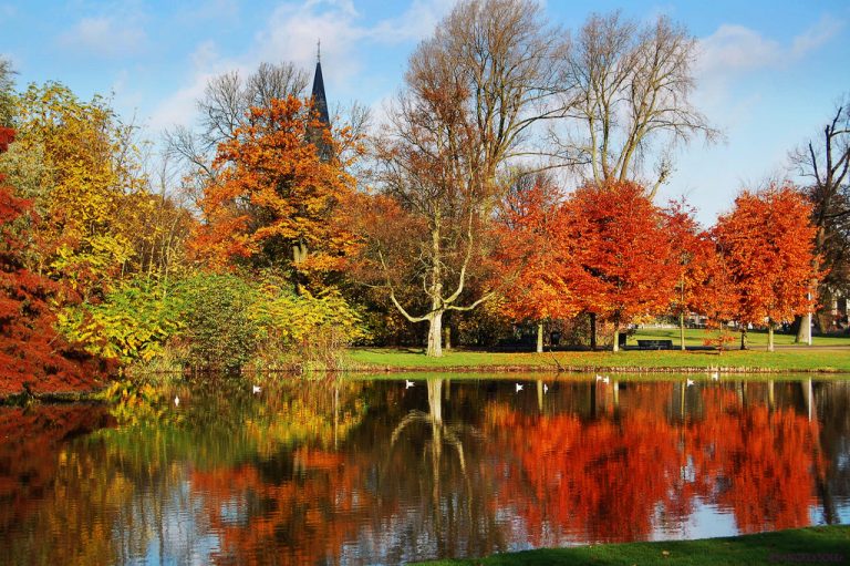 Qué ver y qué hacer en Vondelpark, Amsterdam